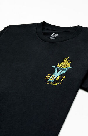 Seize Fire Classic T-Shirt image number 3