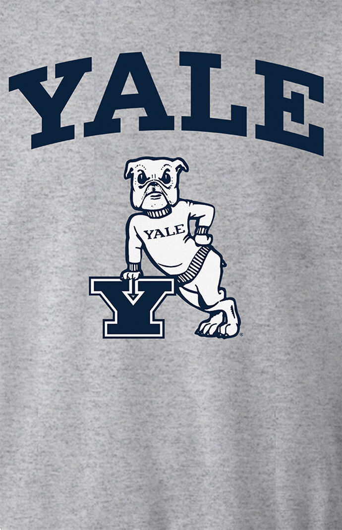 Yale sweatshirt pacsun outlet