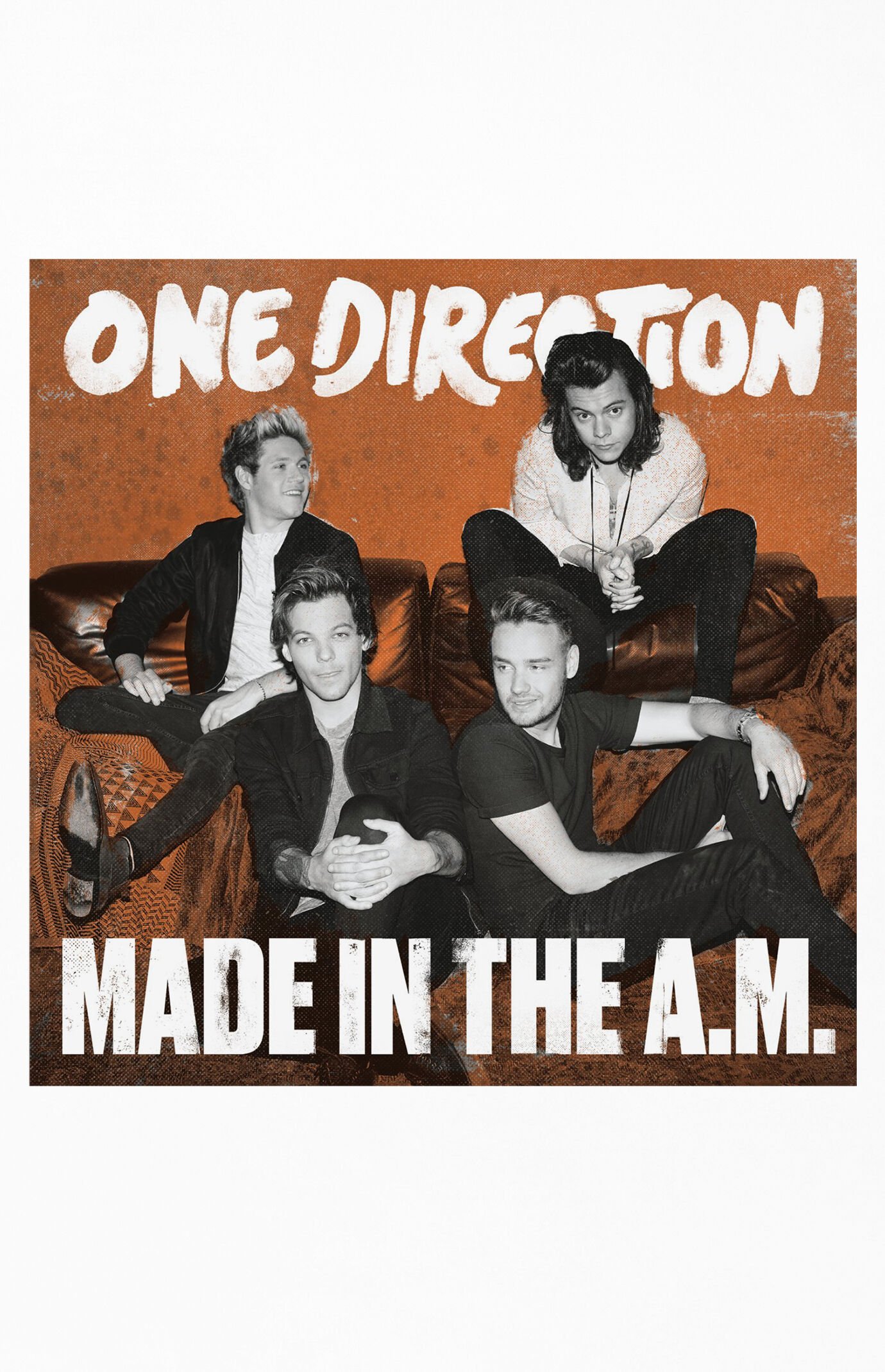PacSun One Direction Made in the A.M. Vinyl Record