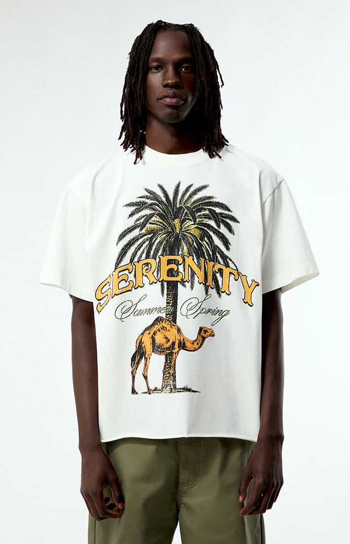 Pacsun Serenity Cropped T-Shirt