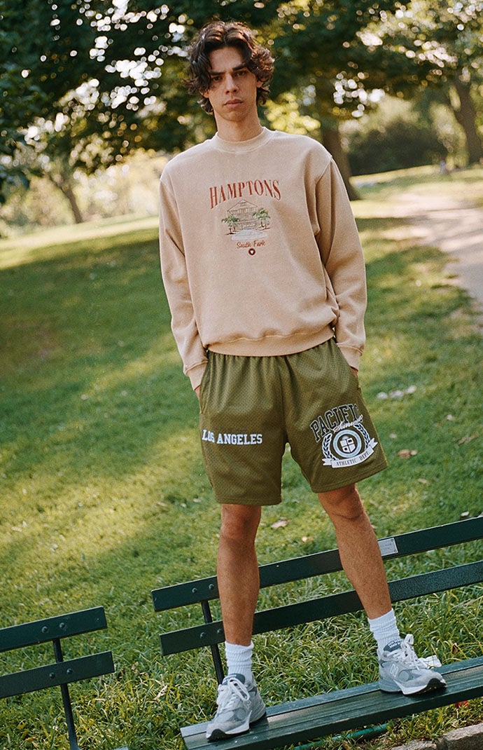 PacSun Pacific Sunwear Athletic Department Shorts PacSun