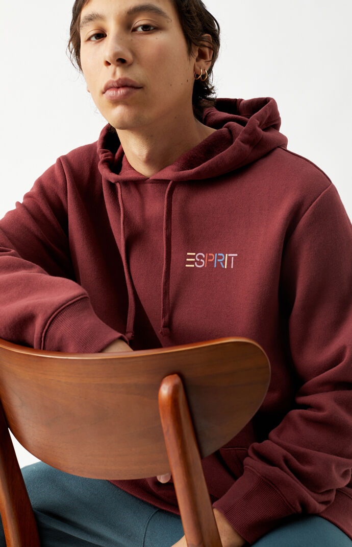 Multicolor Logo Hoodie