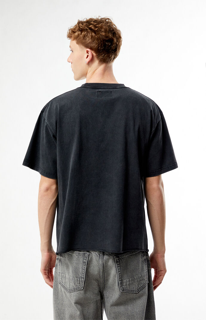 Pacsun Harmony Amidst Chaos Cropped T-Shirt