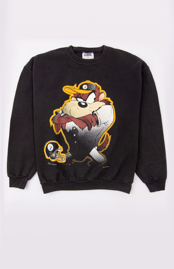 Pittsburgh Steelers Looney Tunes Taz Hoodie 