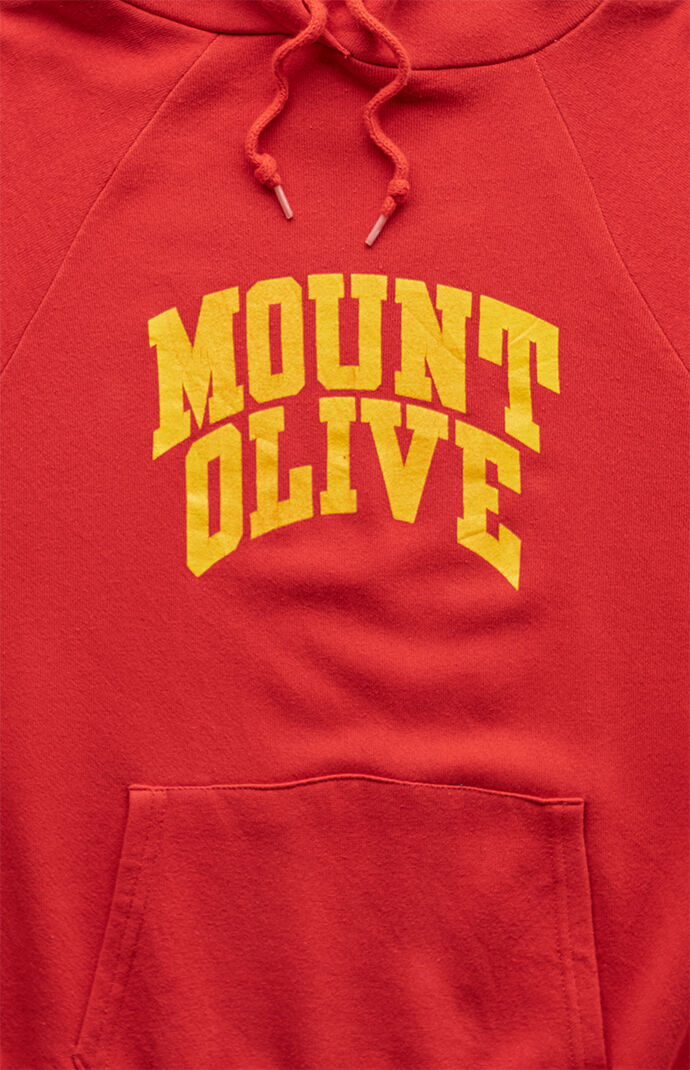 PS VINTAGE 80s Mount Olive Pullover Hoodie