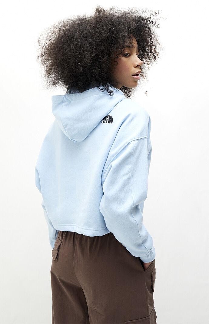 Pacsun north face 2025 hoodie