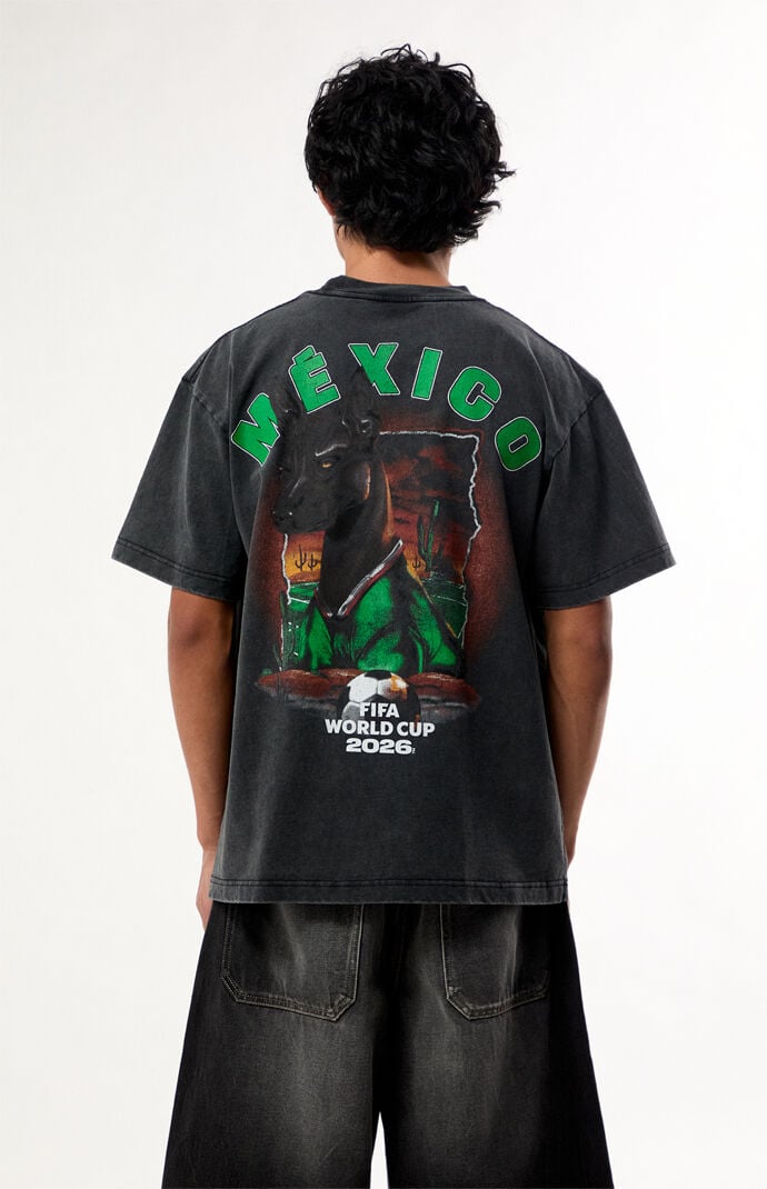 FIFA World Cup Team Mexico Dog T-Shirt