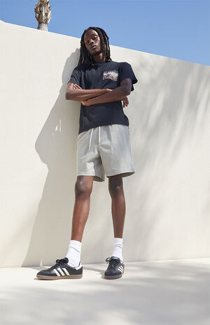 Gray Twill Volley Shorts image number 2