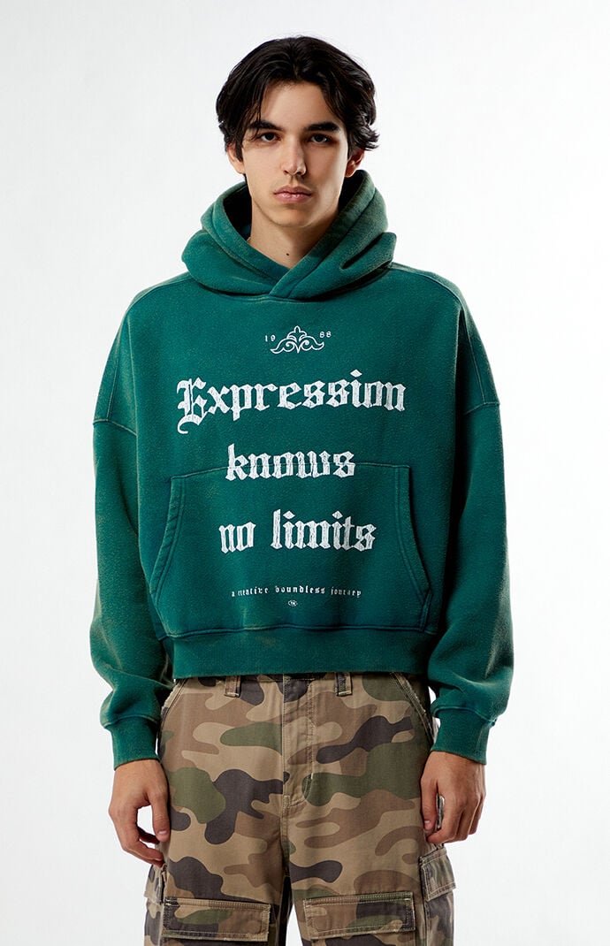Pacsun Expression Cropped Hoodie | PacSun