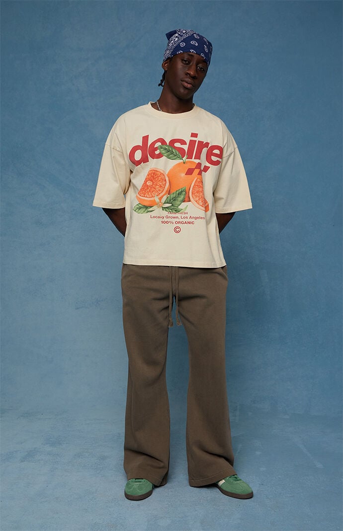 Pacsun Brown Fleece Baggy Bootcut Sweatpants