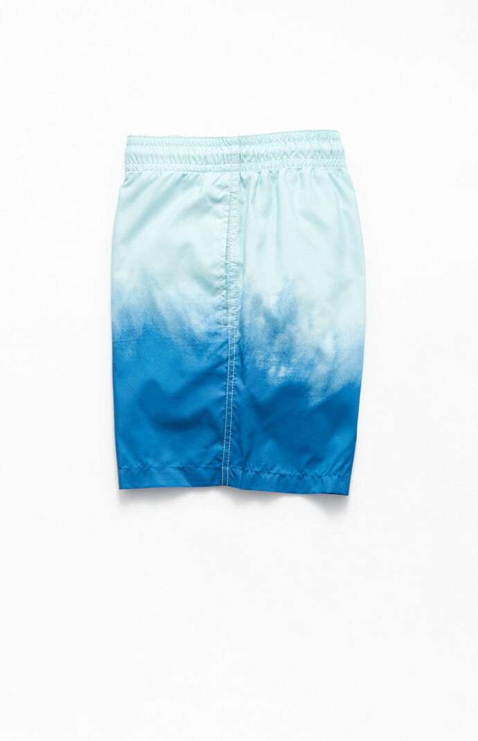 Dip-Dye Volley 17" Swim Trunks