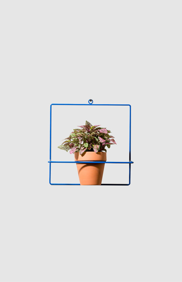 Blue Square Wall Planter