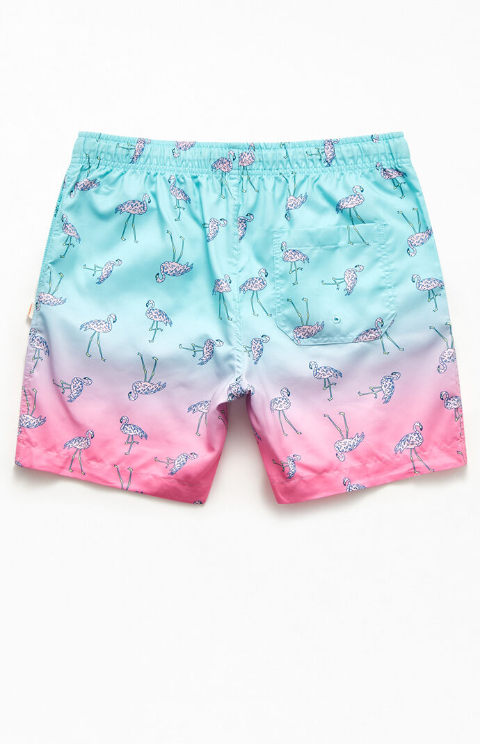 Flamingo Ombre 17" Swim Trunks