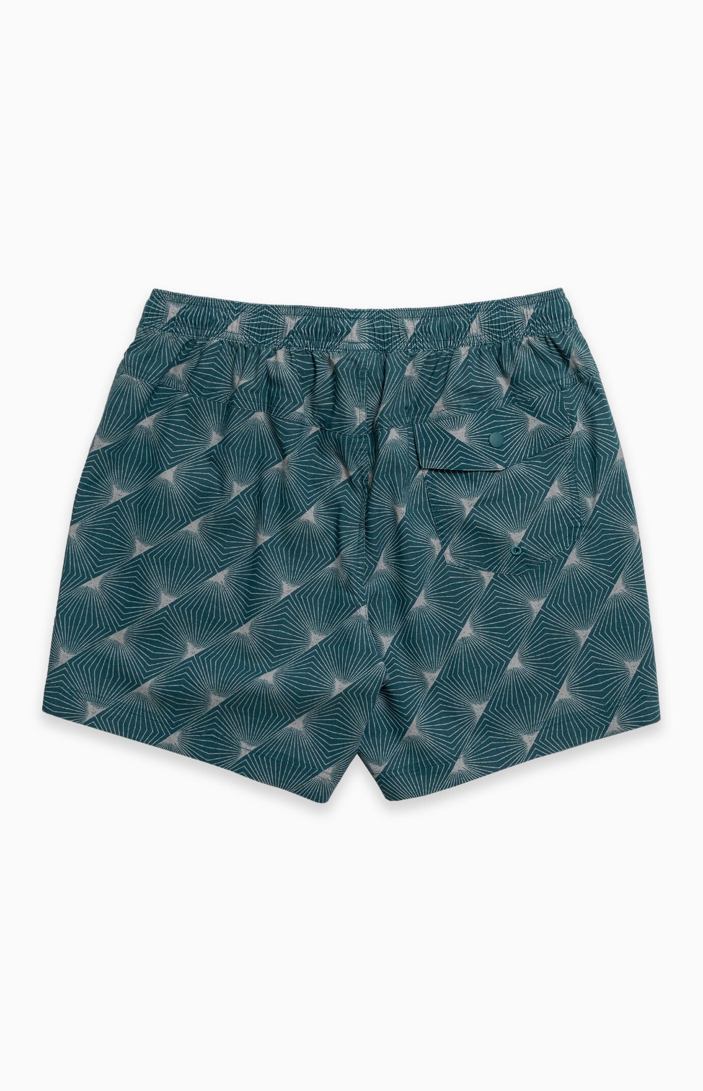LOST Prism Dimensions Swim Trunks