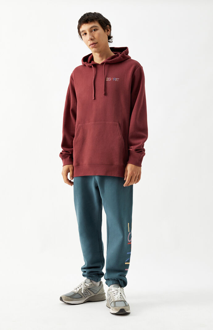 Multicolor Logo Hoodie