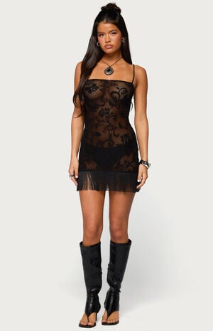 Sophina Fringed Sheer Lace Mini Dress image number 4