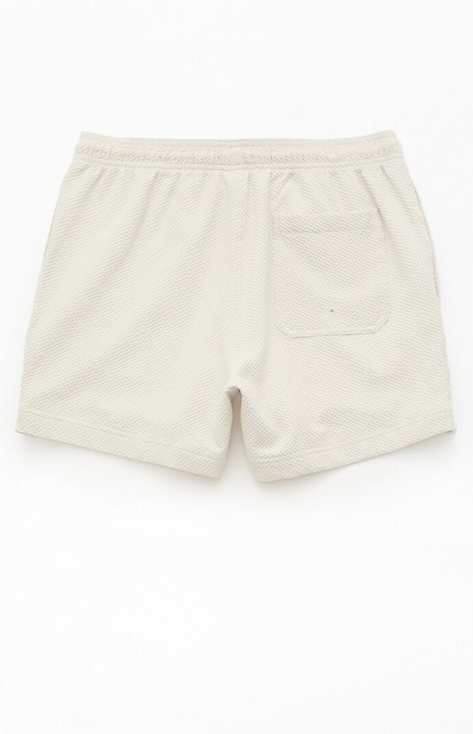 Pacsun Floral Seersucker 4.5" Swim Trunks