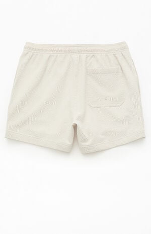 Floral Seersucker 4.5" Swim Trunks image number 2