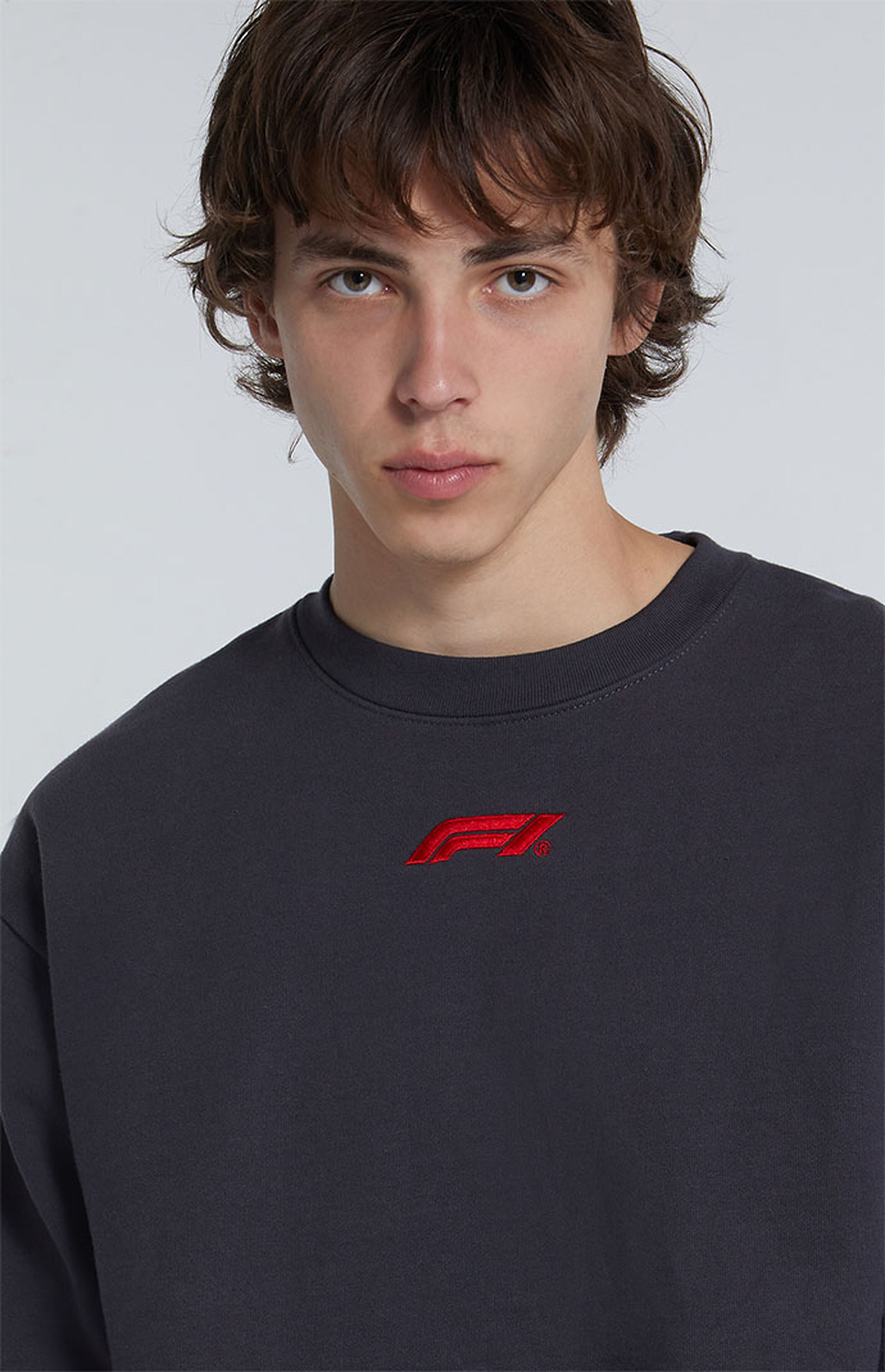 Formula 1 x PacSun Eco Logo Crew Neck Sweatshirt PacSun