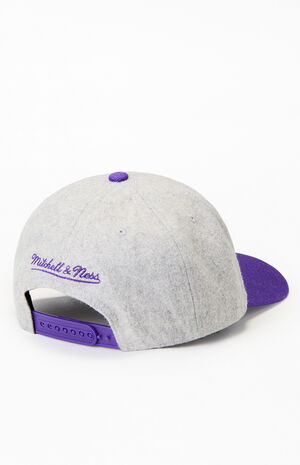 NBA LA Lakers Tail Sweep Pro Snapback Hat image number 2