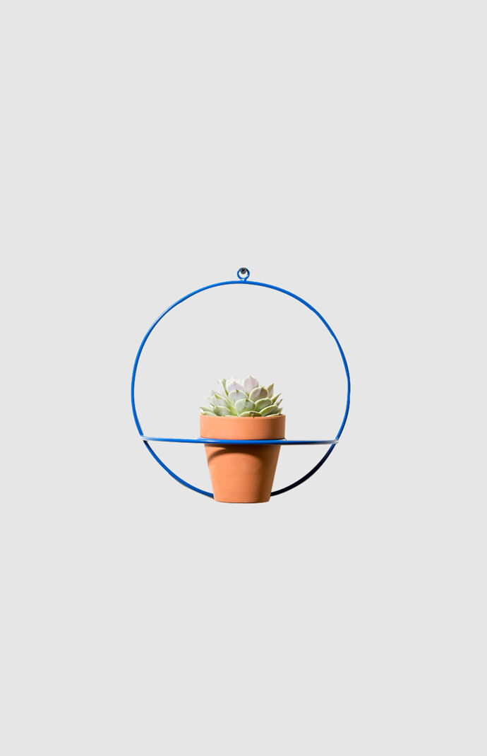 Blue Circle Wall Planter