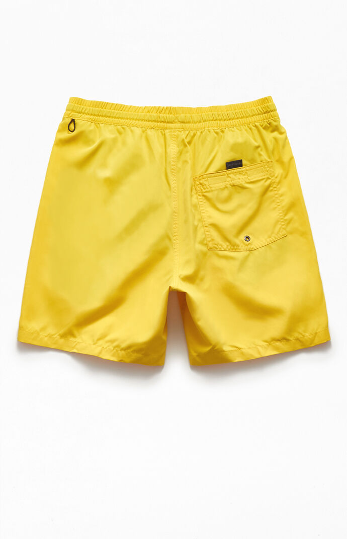 Everyday 17" Swim Trunks