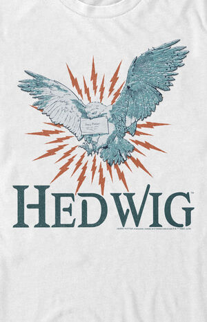 Harry Potter Hedwig Mail T-Shirt image number 2