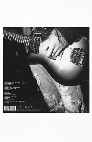 Nirvana Greatest Hits Vinyl Record image number 2