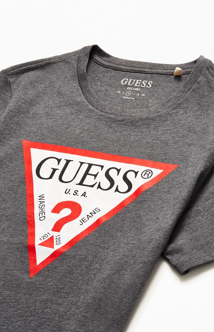 Classic Triangle Logo T-Shirt