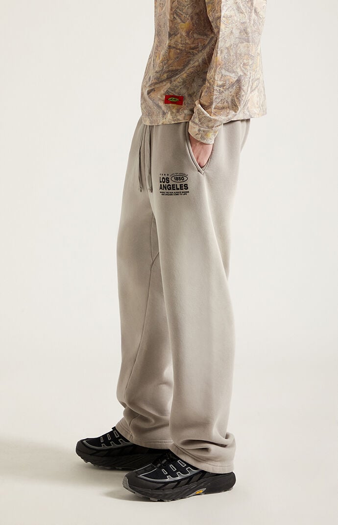 Pacsun LA Fleece Baggy Sweatpants
