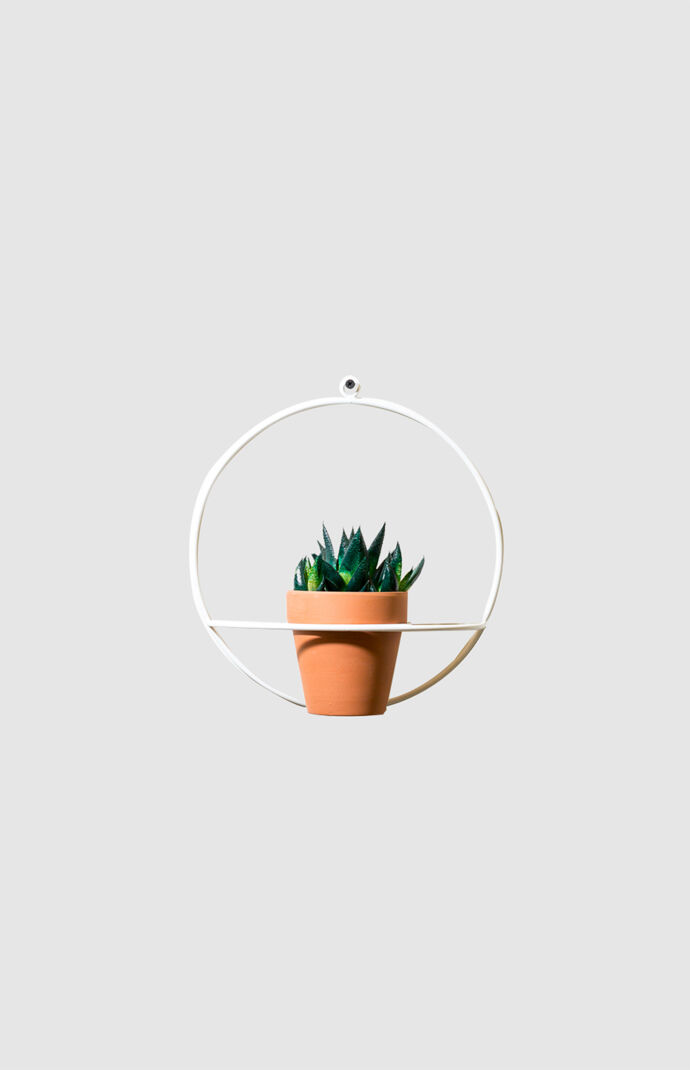 White Circle Wall Planter
