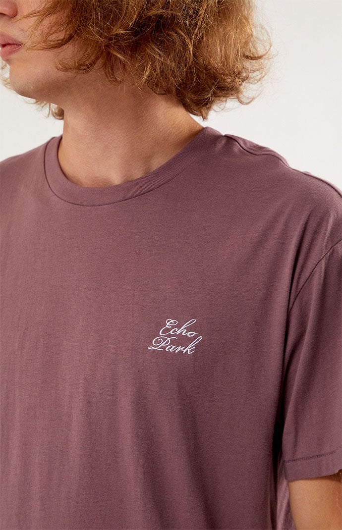 PacSun Echo Park Embroidered Regular Fit T Shirt PacSun
