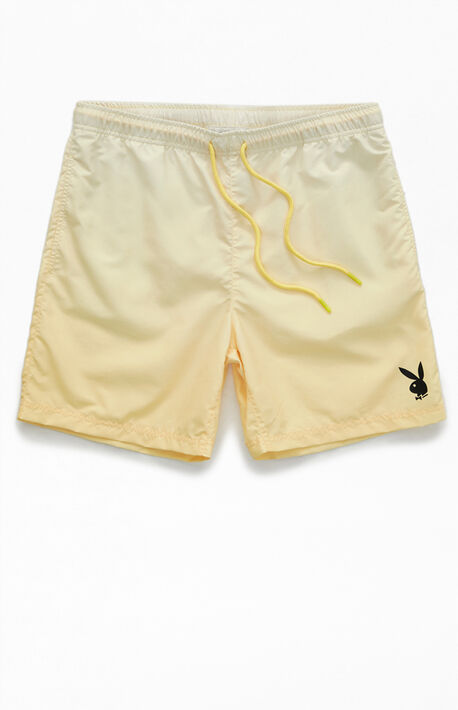 By PacSun Nylon Stock Volley Shorts