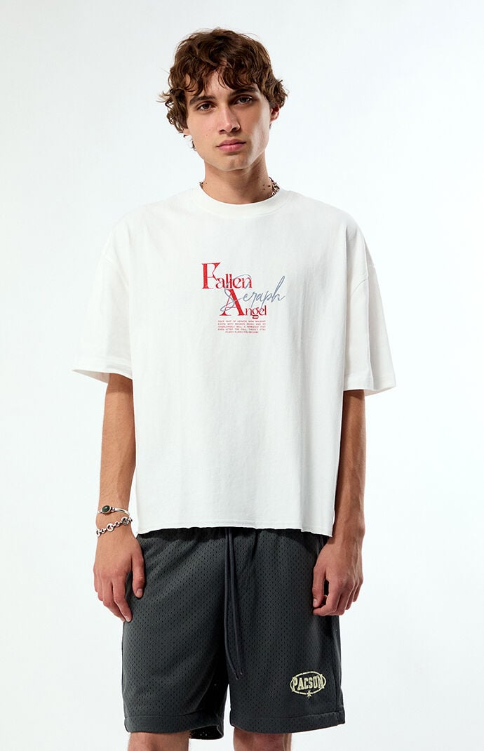 Pacsun Fallen Angel Cropped Boxy T-Shirt | Pacsun