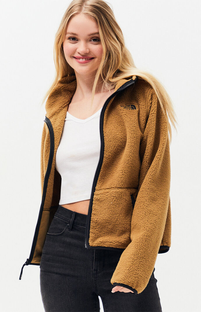 North face dunraven sherpa crop hot sale