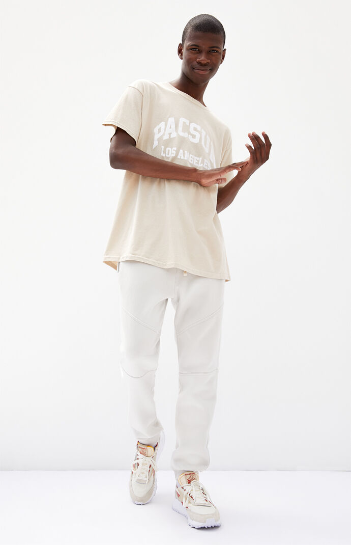 Light Gray Paneled Jogger Pants