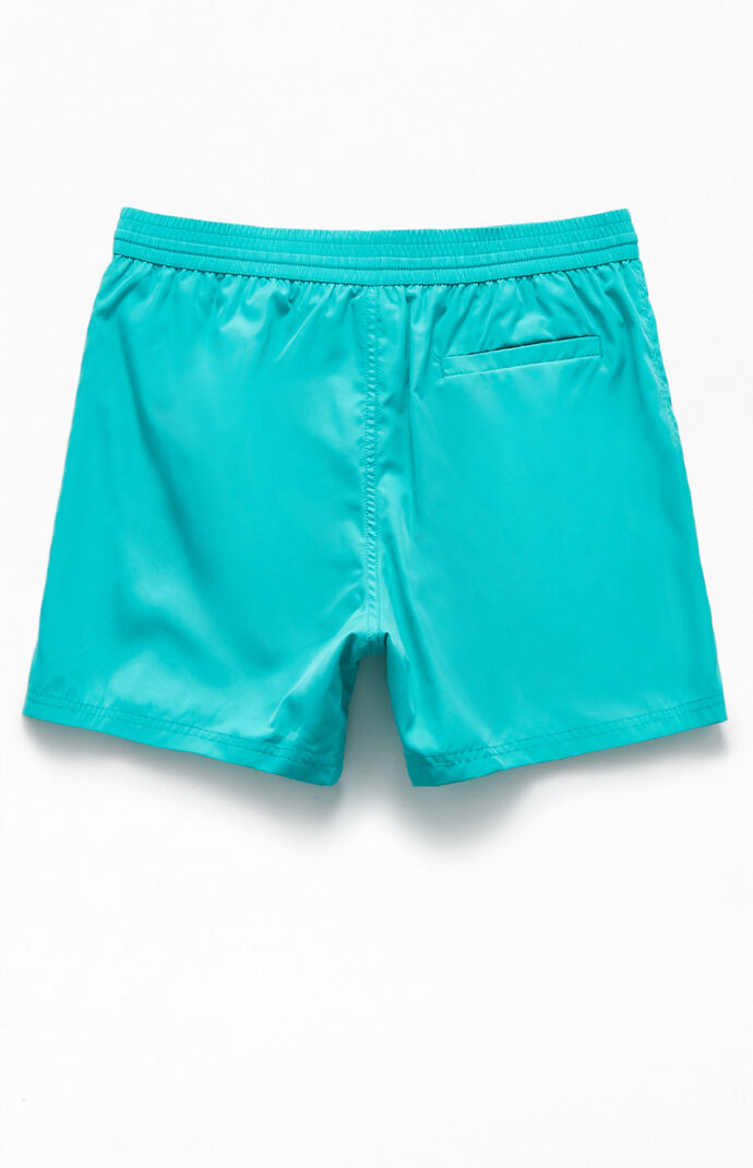 Triangle 15" Swim Trunks
