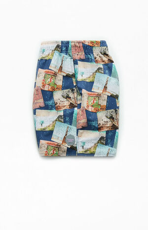 Destination 17" Swim Trunks image number 3