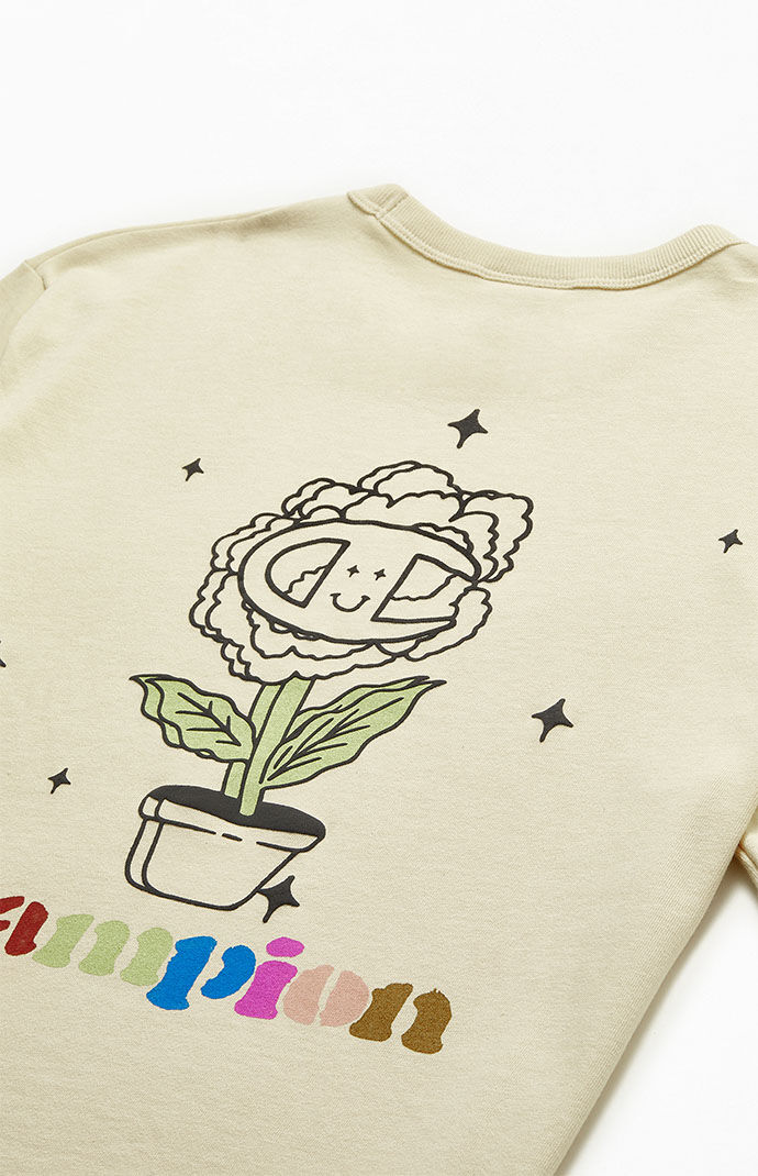 Champion t shirt pacsun sales