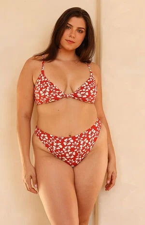 Zen Triangle Bikini Top image number 4