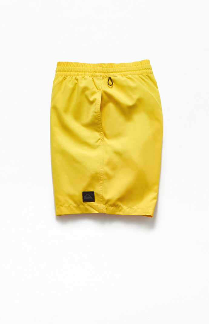 Everyday 17" Swim Trunks