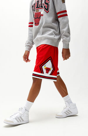 Big Face 3.0 Bulls Basketball Shorts Big Face 3.0 Bulls Basketball Shorts image number null