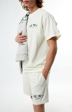 x PacSun Academy Mesh Shorts image number 6