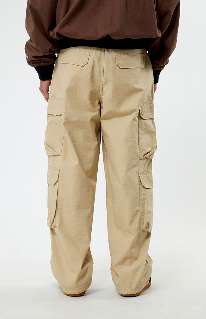 Cargo hotsell pants pacsun