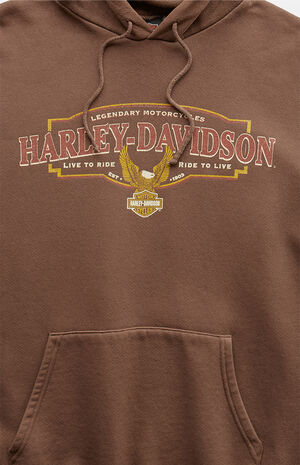 2000s Harley Davidson Brown Pullover Hoodie image number 2