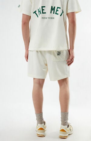 x PacSun Academy Mesh Shorts image number 5