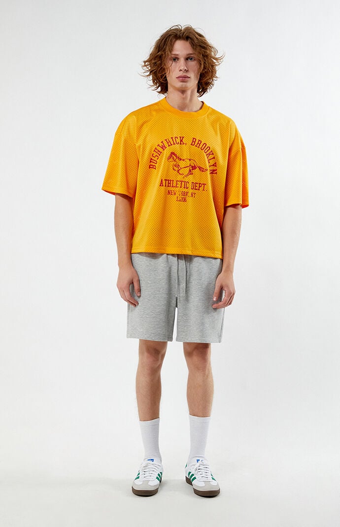 Pacsun Leagues Mesh Boxy Cropped Jersey T-Shirt | PacSun