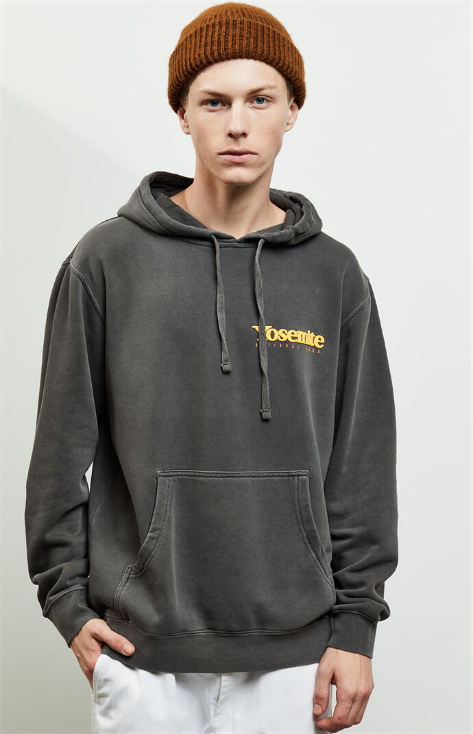 Pacsun north face sales hoodie