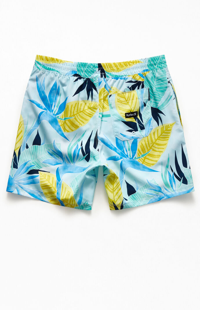 Bird Rock 17" Swim Trunks
