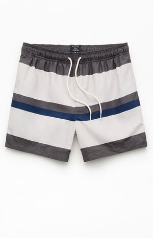 Pierre Striped Eco 4.5" Swim Trunks image number 1